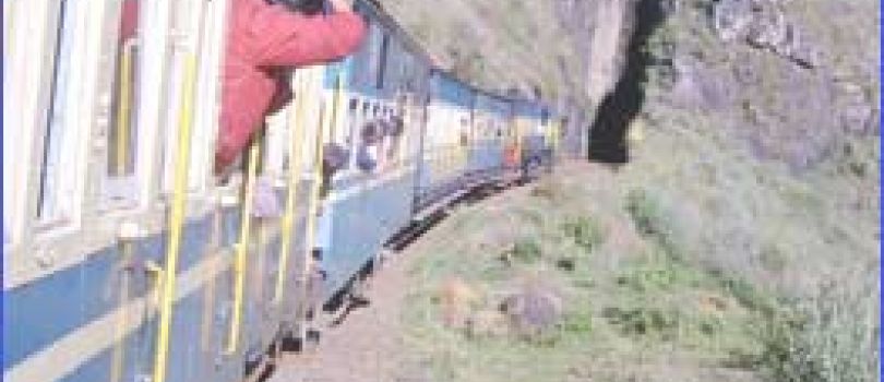 Theni to Ooty & Masinagudi Group Tour (3N/4D) with Rengha Holidays in 45 Seater Bus
