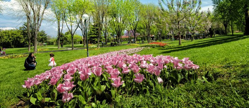 Soğanlı Botanical Park