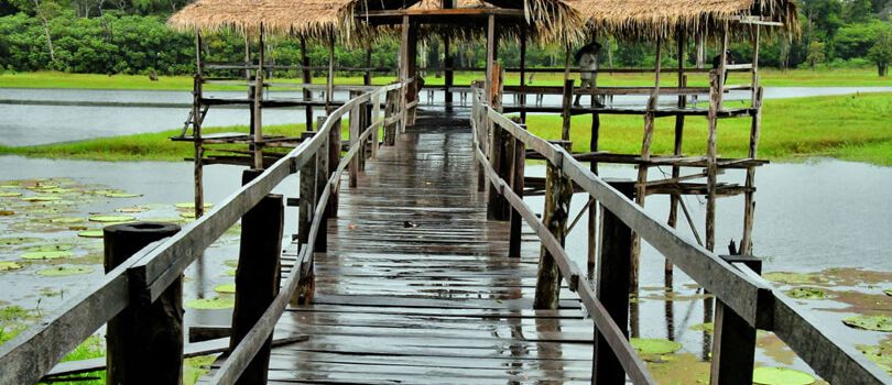 Lake Janauari Ecological Park