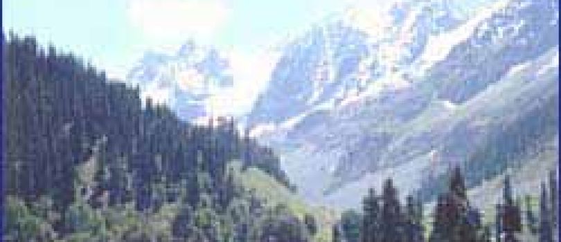 06 Night / 07 Days Freezing Kashmir Package