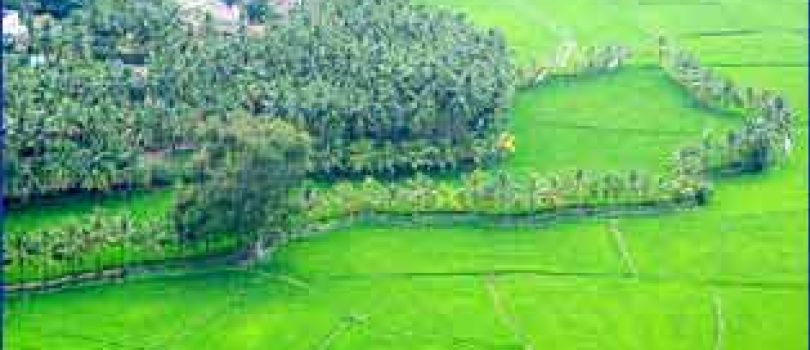 1 NIGHT 2 DAYS MADURAI - KODAIKANAL PACKAGE