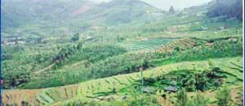 05 Nights & 06 Days in Bangalore, Coorg, Ooty and Coimbatore Tour