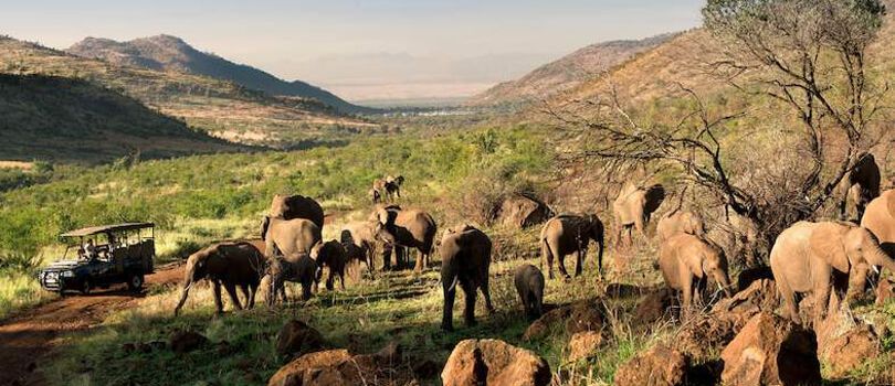 Pilanesberg National Park