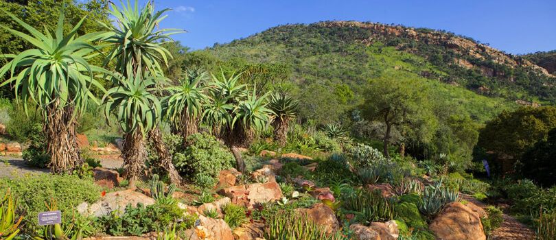 Walter Sisulu National Botanical Gardens