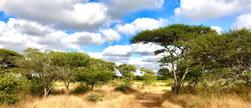 Polokwane Game Reserve