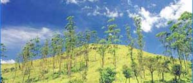 2 Weeks South India Tour