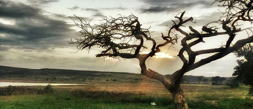 Spioenkop Dam Nature Reserve
