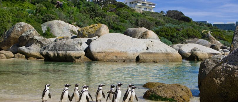Boulders Beach