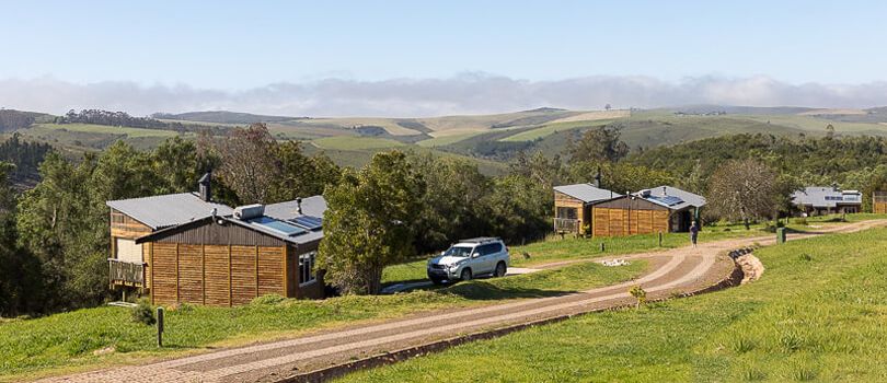 Grootvadersbosch Nature Reserve