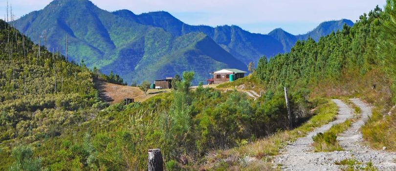 Outeniqua Nature Reserve