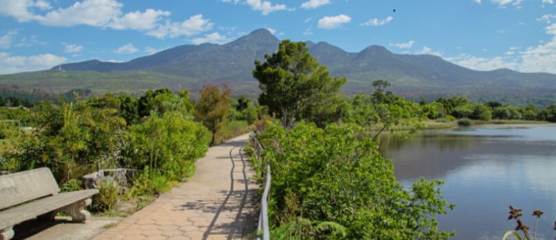 Garden Route Botanical Garden