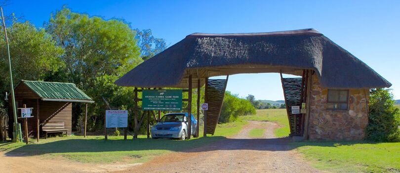 Kragga Kamma Game Park