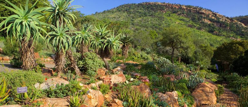Walter Sisulu National Botanical Garden