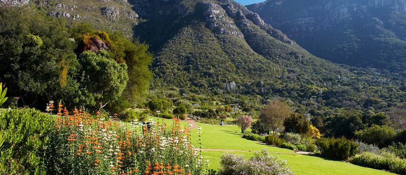 Kirstenbosch National Botanical Garden
