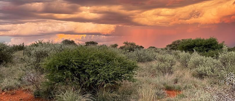 Vaalbos National Park