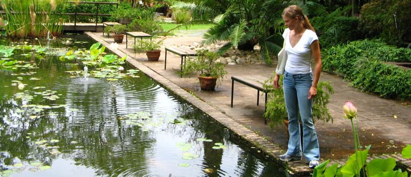 Stellenbosch University Botanical Garden