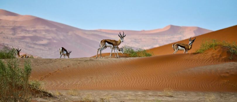 Witsand Nature Reserve