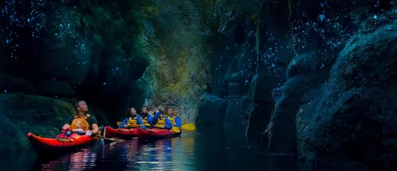Glow Worm Kayaking