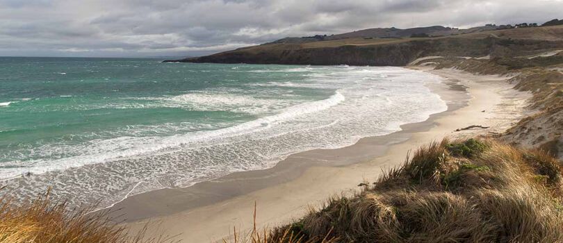 Otago Peninsula