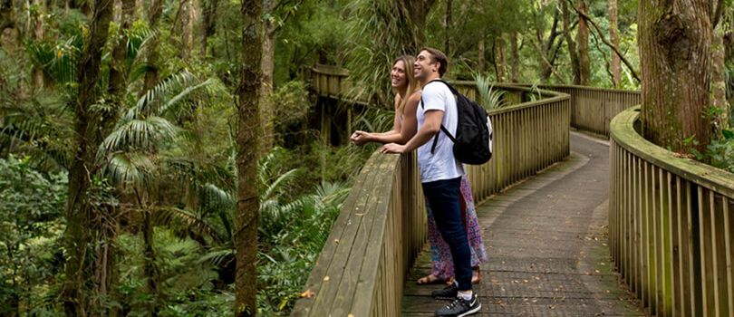 A. H. Reed Memorial Park