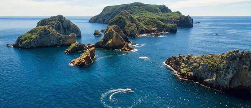 Poor Knights Islands Marine Reserve