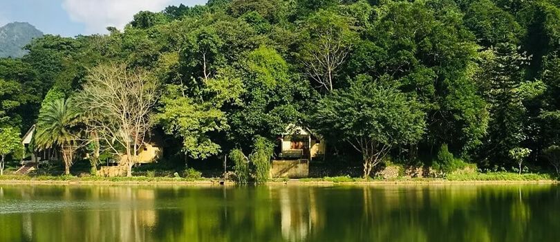 Cuc Phuong National Park