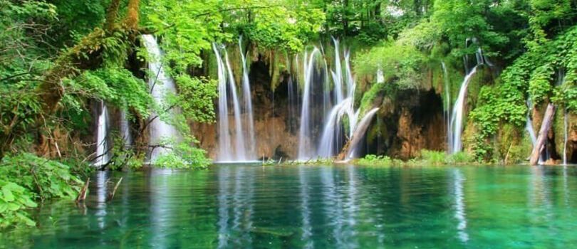 Cuc Phuong National Park