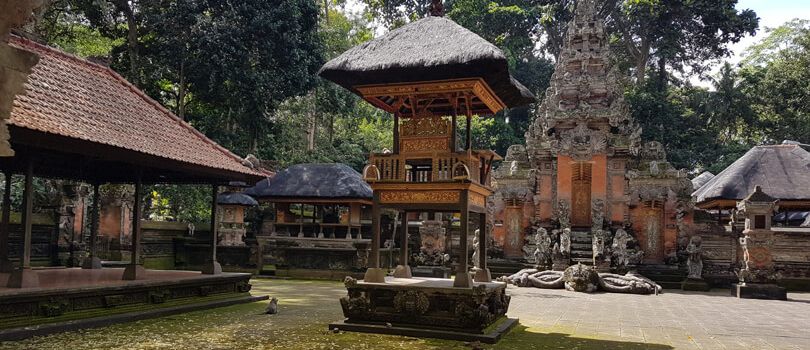 Monkey Forest Sanctuary