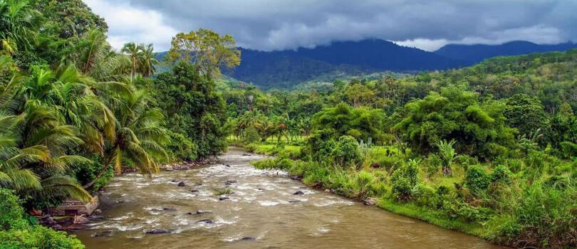 Berbak National Park