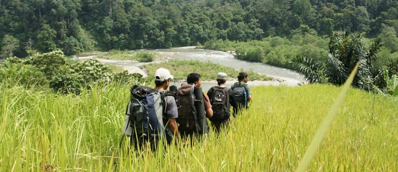 Gunung Leuser National Park