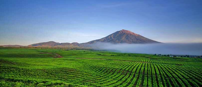 Kerinci Seblat National Park