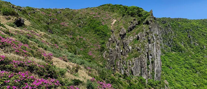 Hallasan National Park