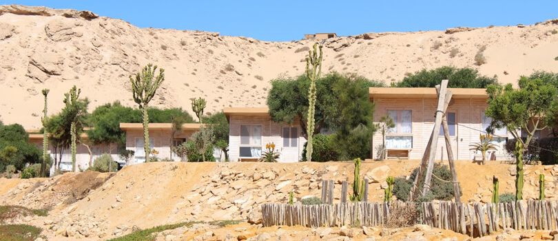 Tomb of Cheikh Mohammed El Maouloud