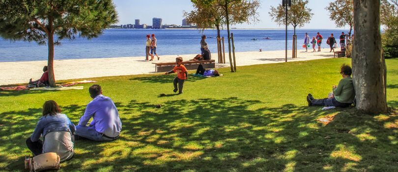 Parque Urbano de Albarquel