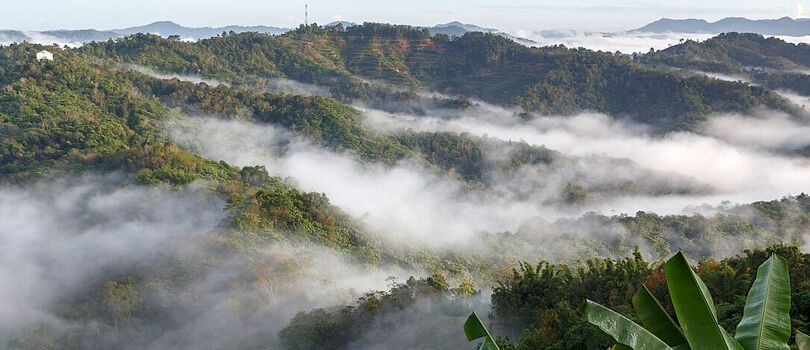Crocker Range National Park