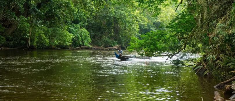 Taman Negara National Park