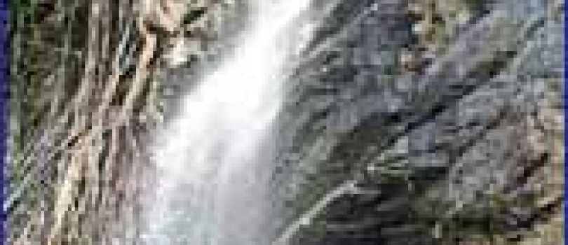 11D Bangalore - Mysore - Coorg - Wayanad - Ooty - Kodaikanal Tour