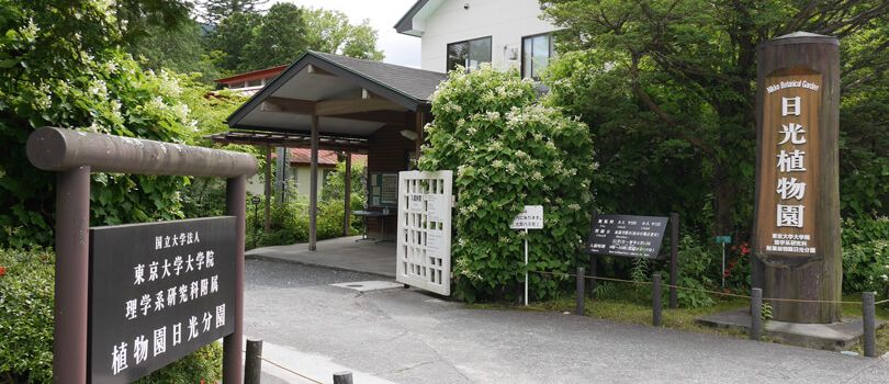 Nikko Botanical Garden