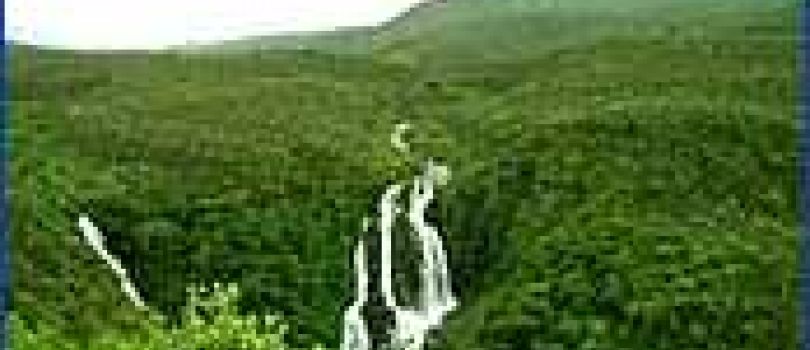 Honeymoon Tour of Tamilnadu - Karnataka 10 Days