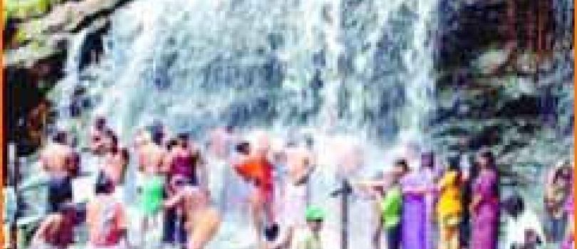 Theni to Vagamon, Thekkady & Idukki Circuit Itinerary (2 Nights / 3 Days) – 40-Seater Luxury Bus
