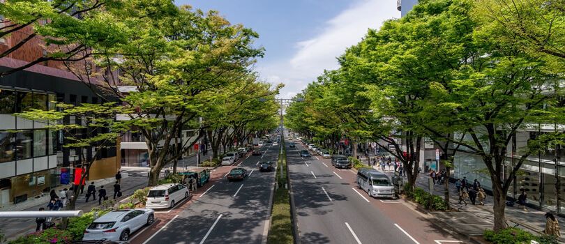 Omotesando