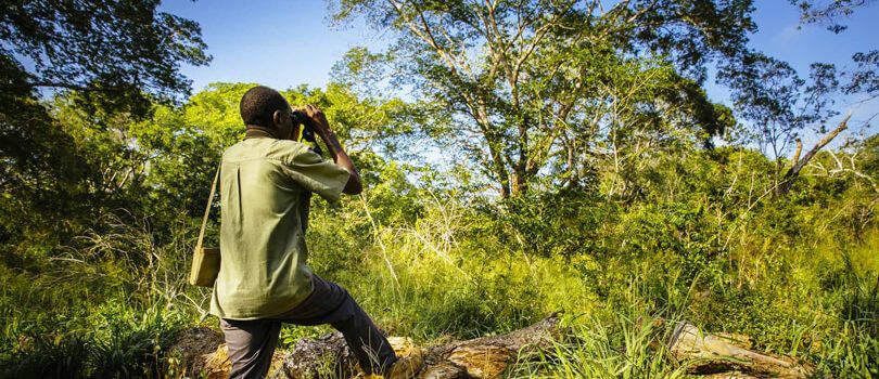 Arabuko Sokoke National Park
