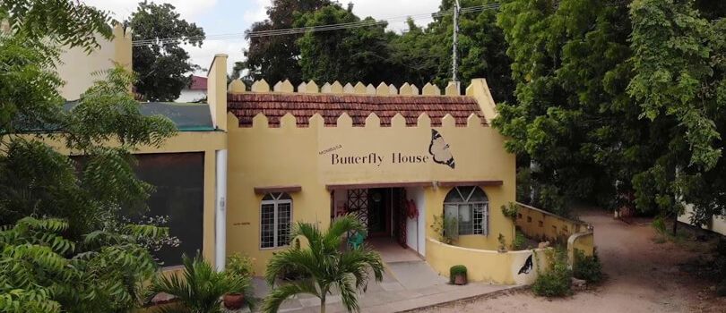 Mombasa Butterfly House