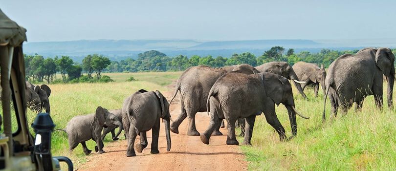 Mwaluganje Elephant Sanctuary