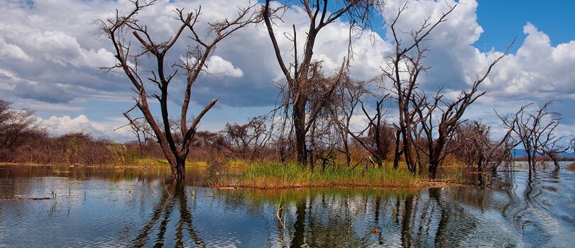 Lake Baringo