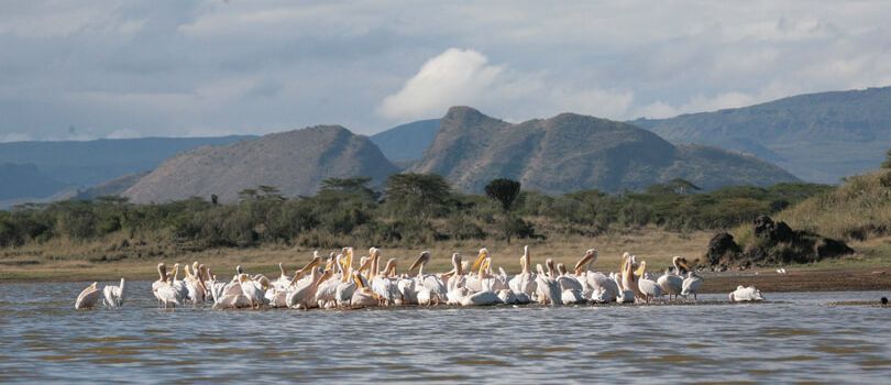 Lake Elmenteita