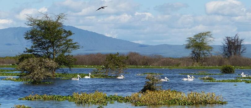 Lake Naivasha