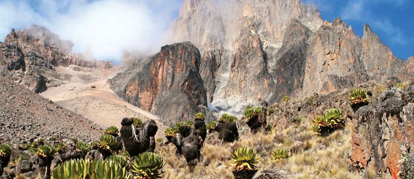 Mount Kenya National Park