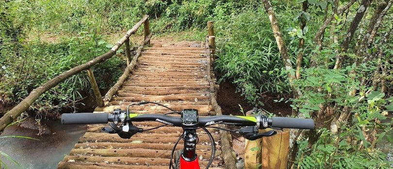 Nairobi Road Forest Sanctuary