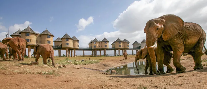 Tsavo National Parks